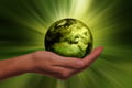 hand holding a green globe
