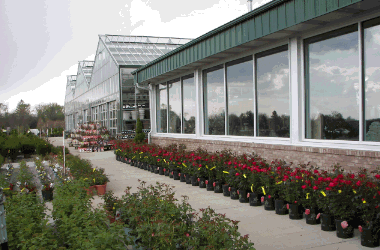 When is the Best Time to Upgrade Your Commercial Greenhouse to LED Lighting?